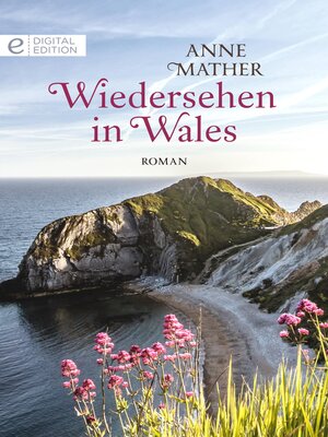 cover image of Wiedersehen in Wales